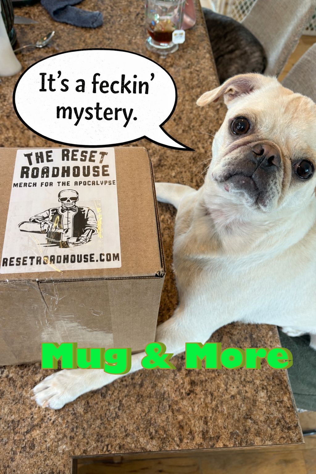 Thermal Mug & More Mystery Box