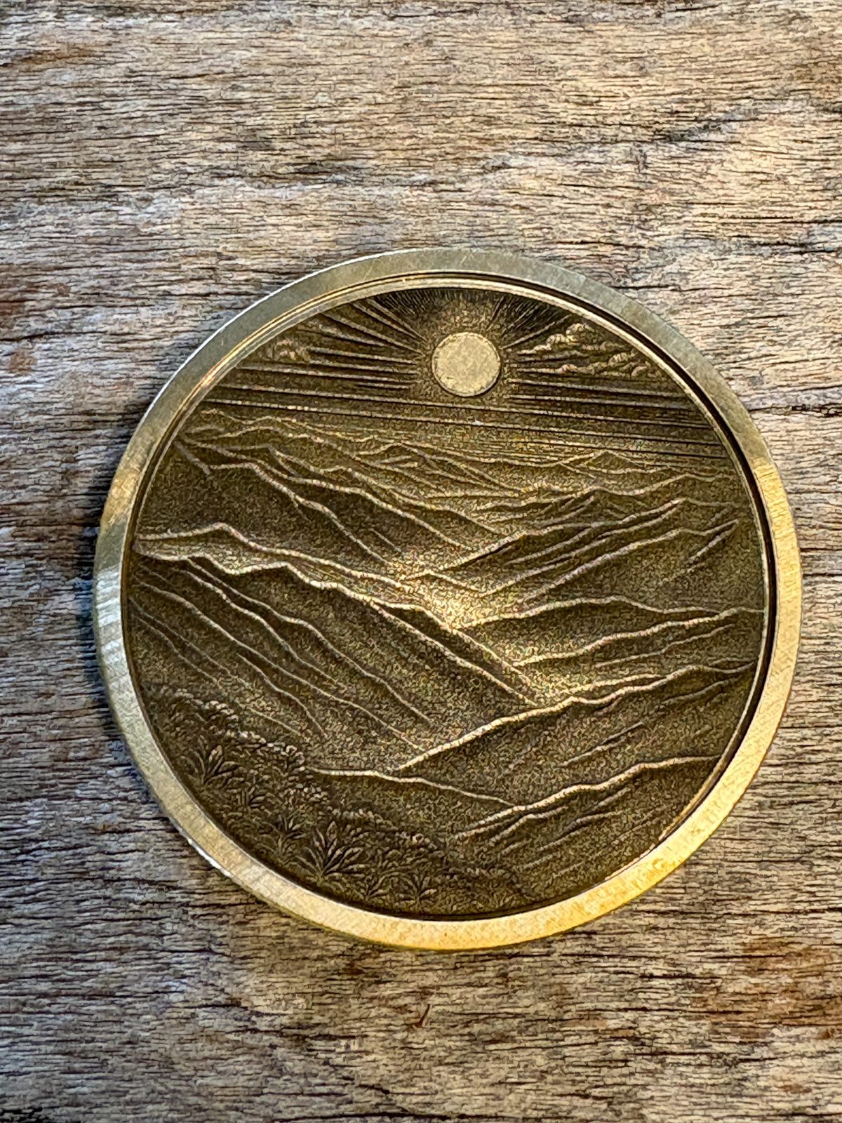 Borrowed World "The Valley" Challenge Coin