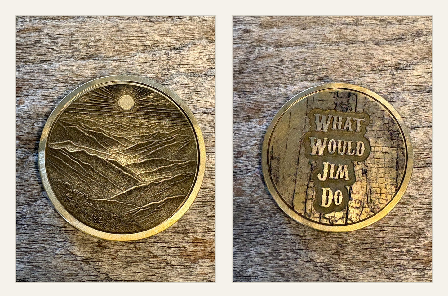 Borrowed World "The Valley" Challenge Coin